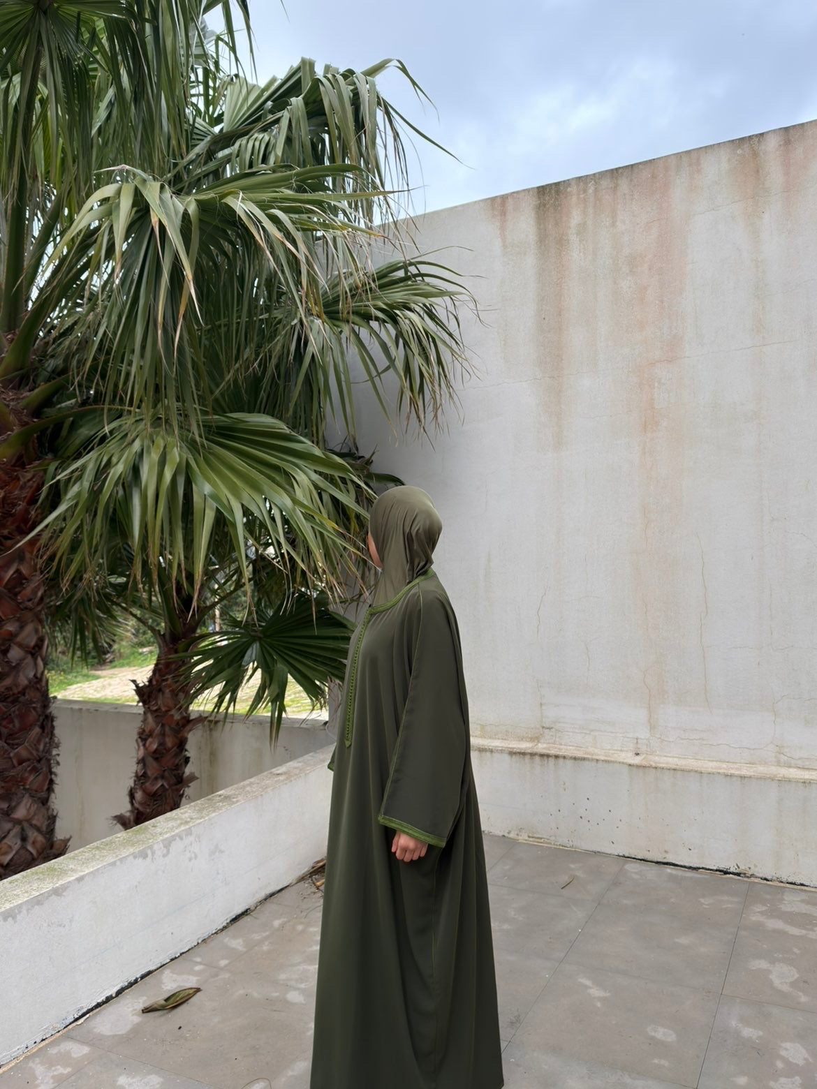 Malika olive ( closed )