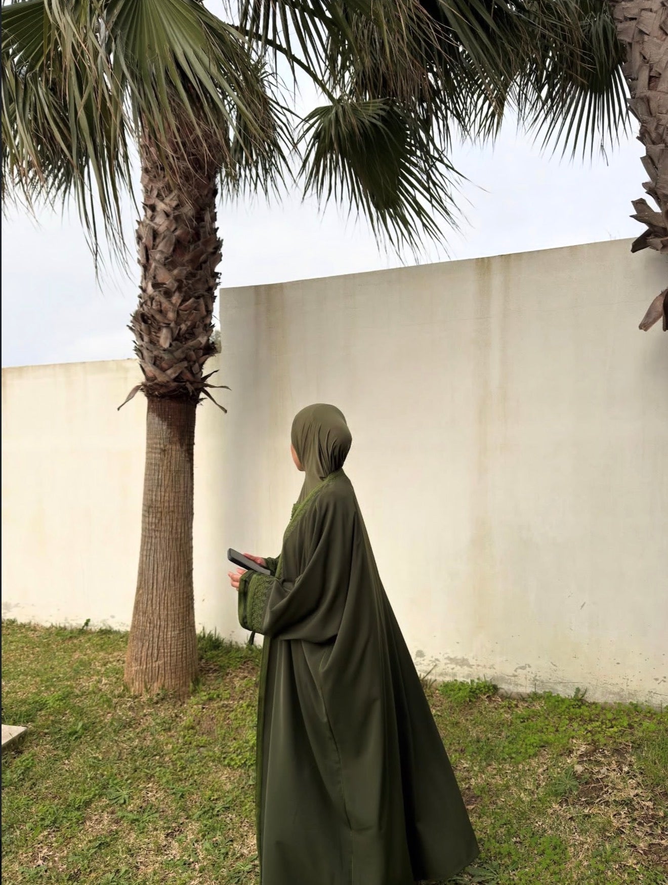 Malika olive ( open )