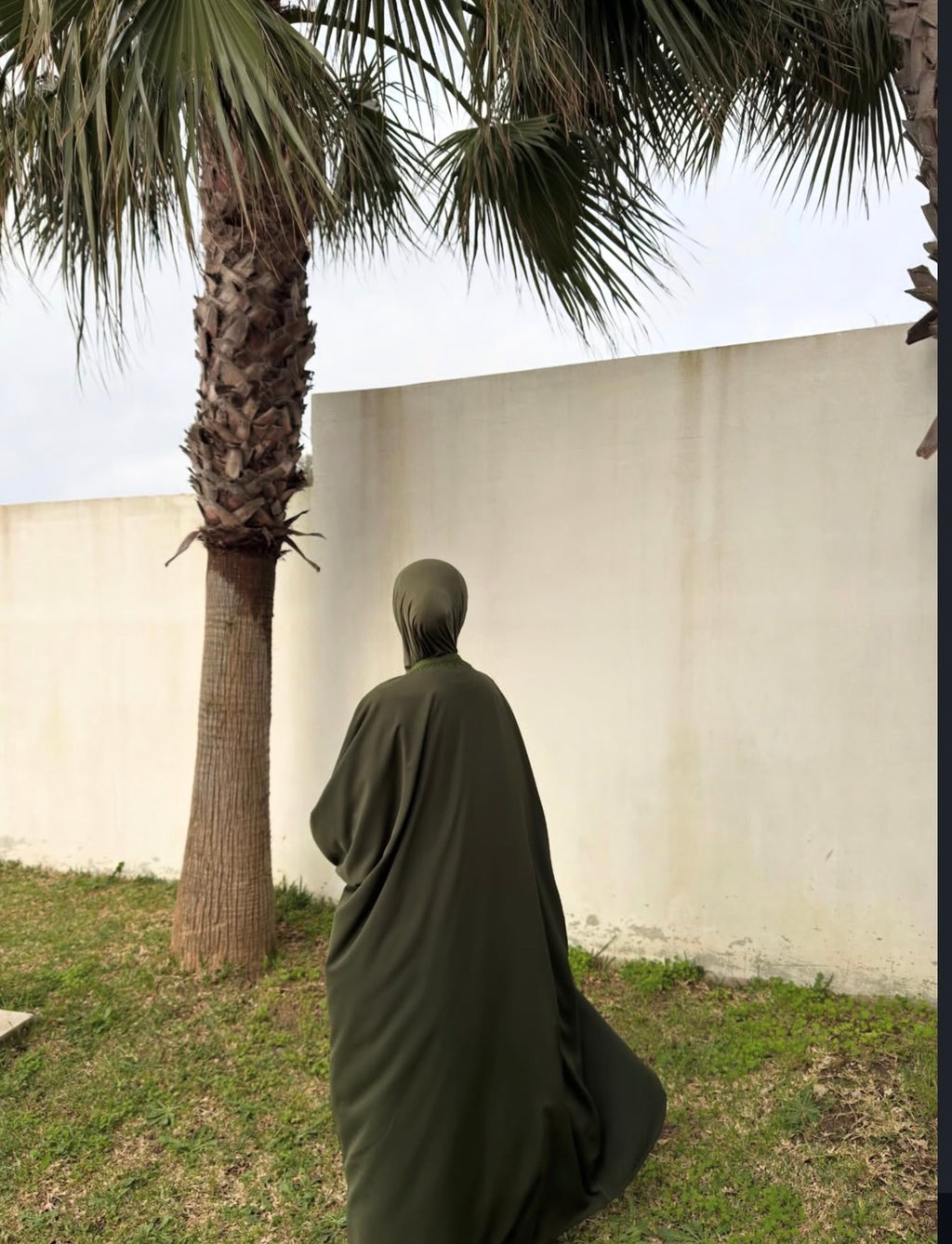 Malika olive ( open )